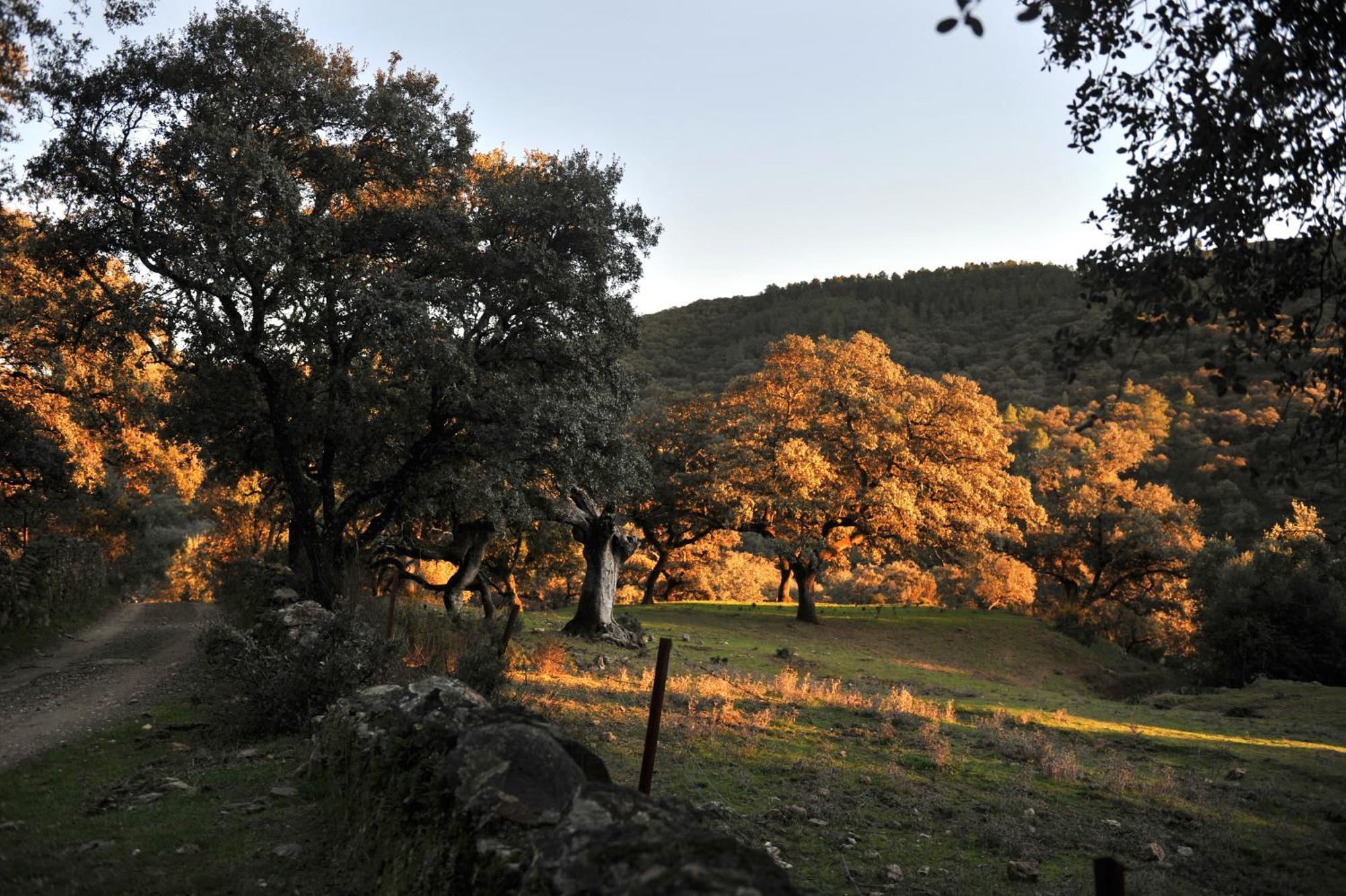 La Molinilla Apartamentos Y Hammam (Adults Only) Linares de la Sierra Buitenkant foto